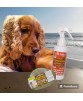 SHAMPOING CHIEN ET CHAT